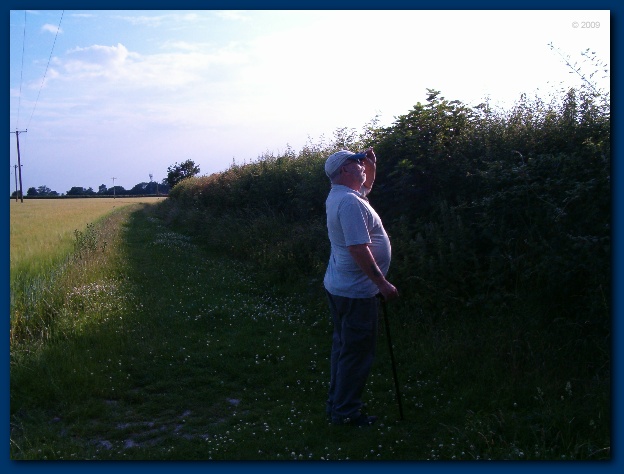 600x449 pixels (99K)